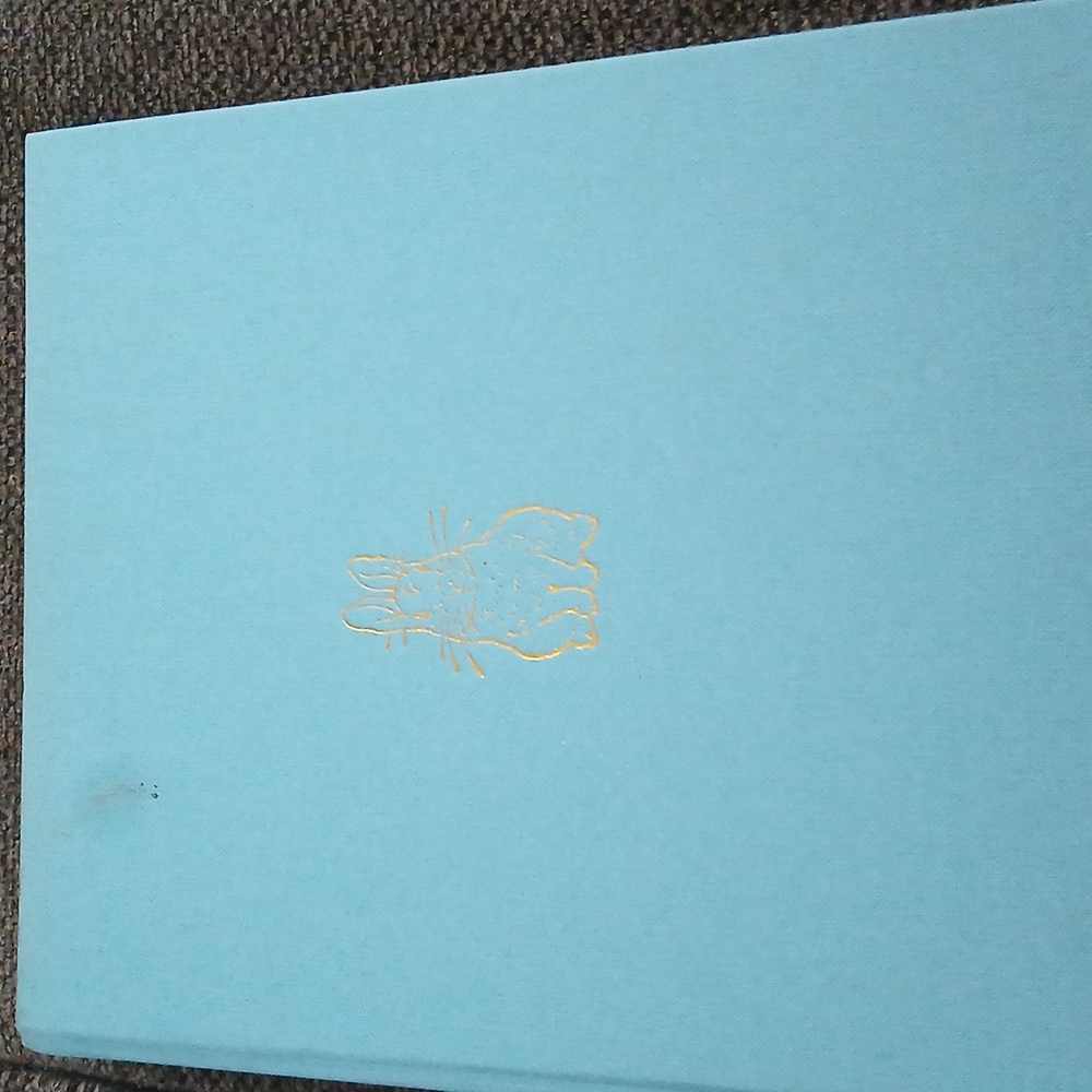 Bunny storybook - Picture 2 of 5